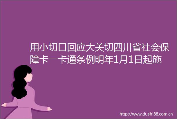 用小切口回应大关切四川省社会保障卡一卡通条例明年1月1日起施行