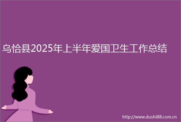 乌恰县2025年上半年爱国卫生工作总结