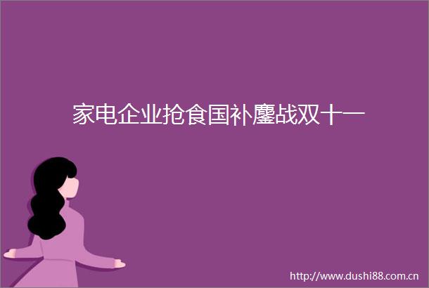 家电企业抢食国补鏖战双十一
