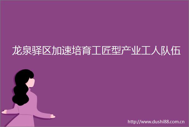 龙泉驿区加速培育工匠型产业工人队伍