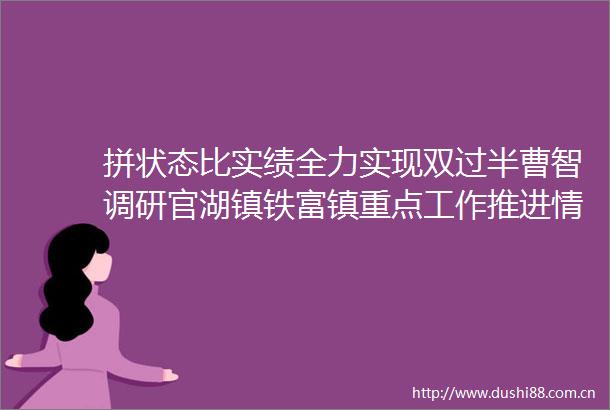 拼状态比实绩全力实现双过半曹智调研官湖镇铁富镇重点工作推进情况