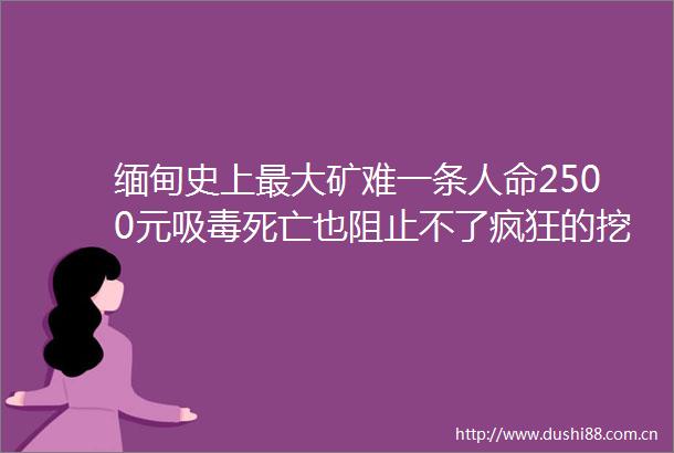 缅甸史上最大矿难一条2500元死亡也阻止不了疯狂的挖玉人
