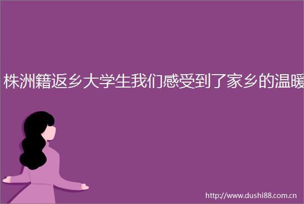 株洲籍返乡大学生我们感受到了家乡的温暖