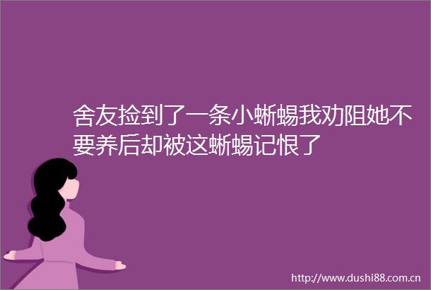 舍友捡到了一条小蜥蜴我劝阻她不要养后却被这蜥蜴记恨了