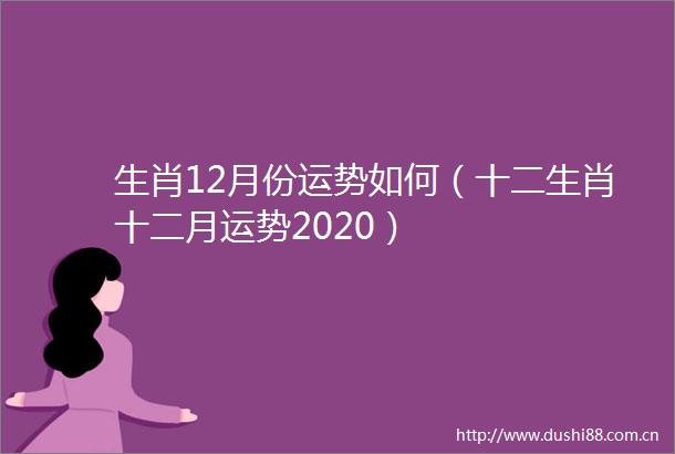 生肖12月份运势如何（十二生肖十二月运势2020）