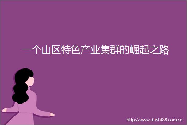 一个山区特色产业集群的崛起之路