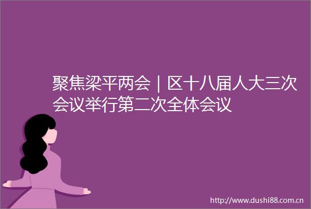 聚焦梁平两会｜区十八届人大三次会议举行第二次全体会议