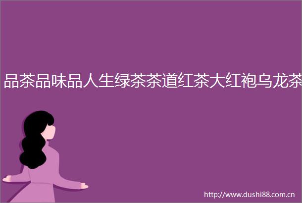品茶品味品人生绿茶茶道红茶大红袍乌龙茶
