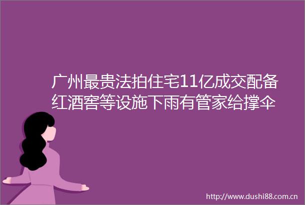 广州最贵法拍住宅11亿成交配备红酒窖等设施下雨有管家给撑伞