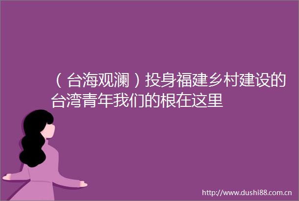 （台海观澜）投身福建乡村建设的台湾青年我们的根在这里
