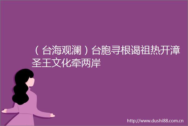 （台海观澜）台胞寻根谒祖热开漳圣王文化牵两岸