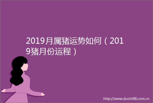 2019月属猪运势如何（2019猪月份运程）