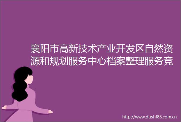 襄阳市高新技术产业开发区自然资源和规划服务中心档案整理服务竞争性磋商公告