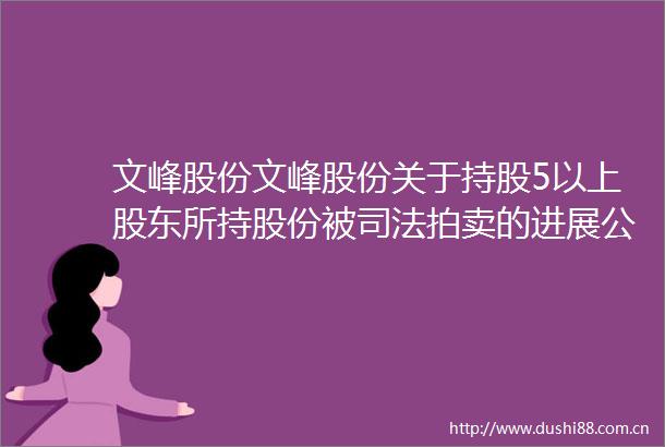 文峰股份文峰股份关于持股5以上股东所持股份被司法拍卖的进展公告