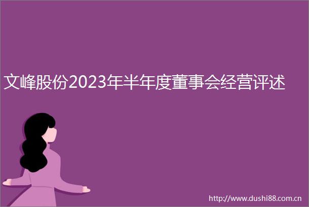 文峰股份2023年半年度董事会经营评述