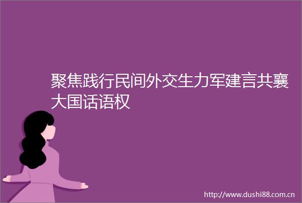 聚焦践行民间外交生力军建言共襄大国话语权