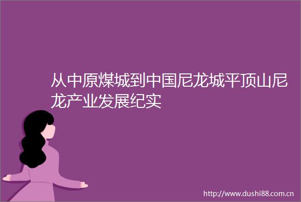 从中原煤城到尼龙城平顶山尼龙产业发展纪实