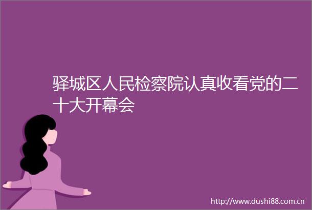 驿城区检察院认真收看党的二十大开幕会