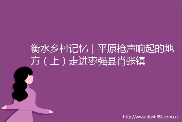 衡水乡村记忆｜平原声响起的地方（上）走进枣强县肖张镇