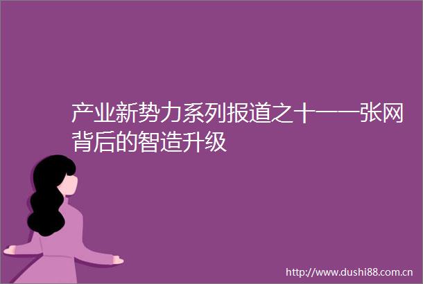 产业新势力系列报道之十一一张网背后的智造升级