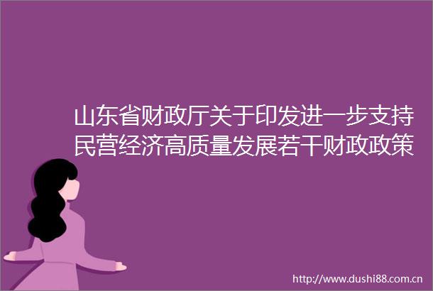 山东省财政厅关于印发进一步支持民营经济高质量发展若干财政政策的通知