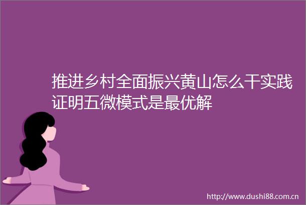 推进乡村全面振兴黄山怎么干实践证明五微模式是最优解