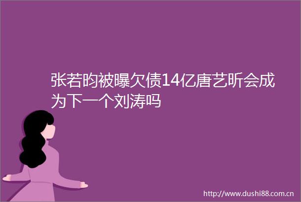 张若昀被曝欠债14亿唐艺昕会成为下一个刘涛吗