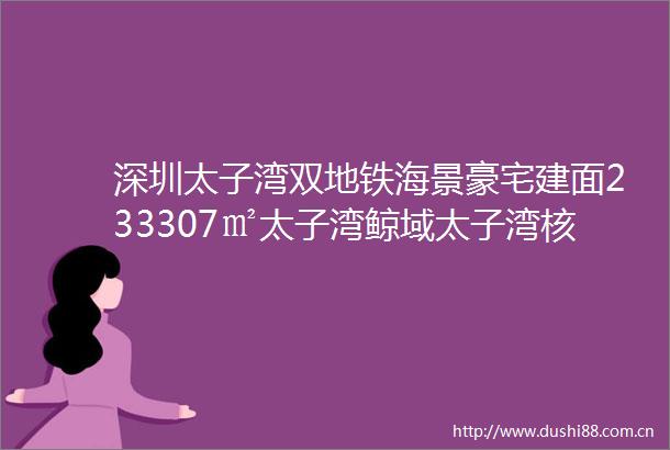 深圳太子湾双地铁海景豪宅建面233307㎡太子湾鲸域太子湾核芯太子湾板块爆款资产