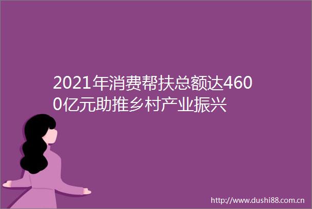 2021年消费帮扶总额达4600亿元助推乡村产业振兴