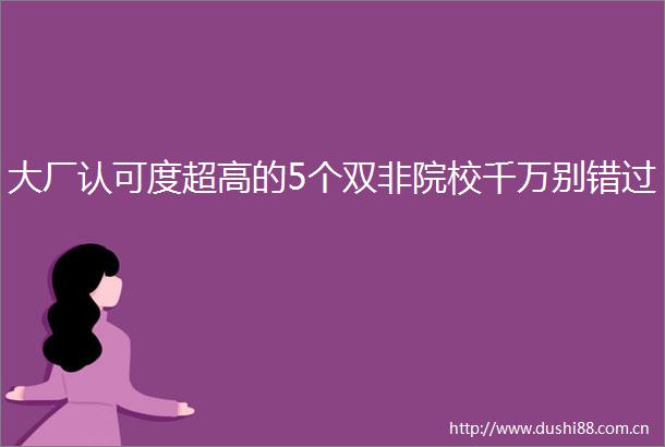 大厂认可度超高的5个双非院校千万别错过