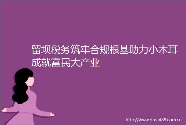 留坝税务筑牢合规根基助力小木耳成就富民大产业