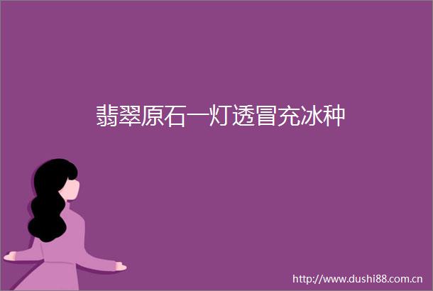 翡翠原石一灯透冰种