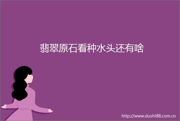 翡翠原石看种水头还有啥
