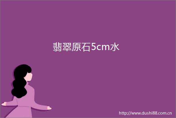 翡翠原石5cm水