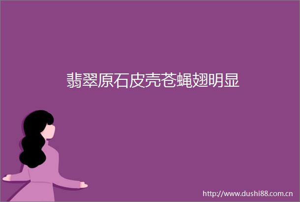 翡翠原石皮壳苍蝇翅明显