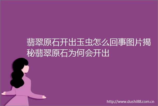 翡翠原石开出玉虫怎么回事图片揭秘翡翠原石为何会开出