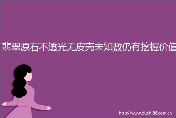 翡翠原石不透光无皮壳未知数仍有挖掘价值