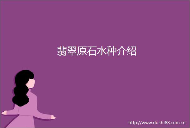 翡翠原石水种介绍
