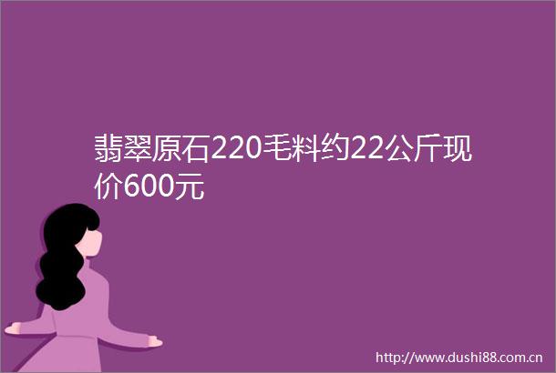 翡翠原石220毛料约22公斤现价600元
