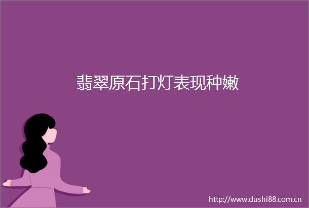 翡翠原石打灯表现种嫩