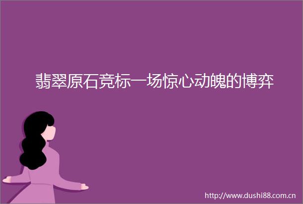 翡翠原石竞标一场惊心动魄的博弈