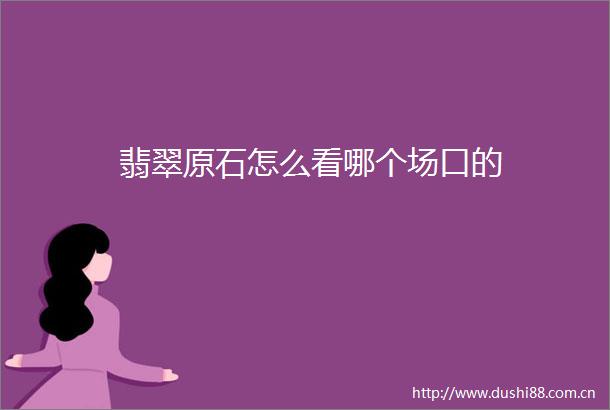 翡翠原石怎么看哪个场口的