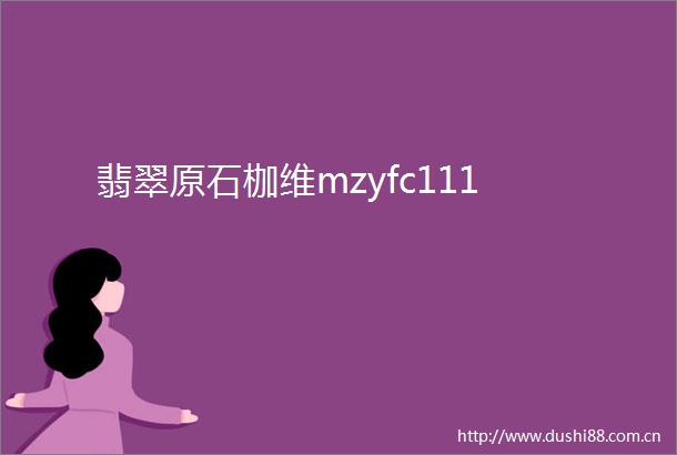 翡翠原石枷维mzyfc111