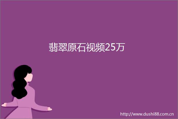 翡翠原石视频25万