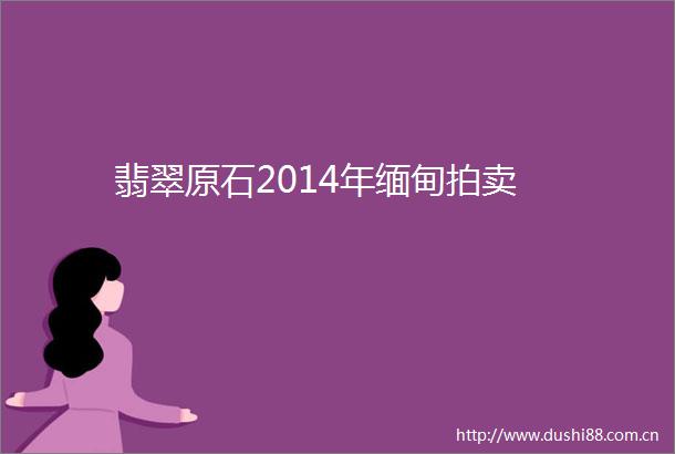 翡翠原石2014年缅甸拍卖