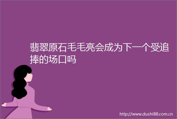 翡翠原石毛毛亮会成为下一个受追捧的场口吗