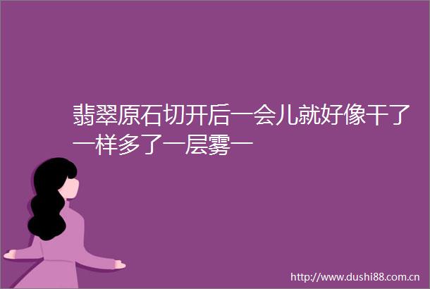 翡翠原石切开后一会儿就好像干了一样多了一层雾一