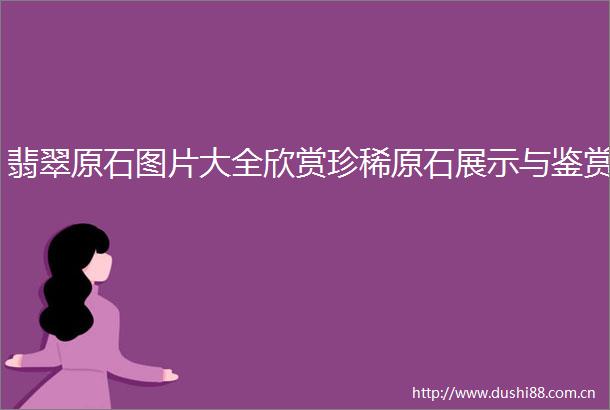 翡翠原石图片大全欣赏珍稀原石展示与鉴赏
