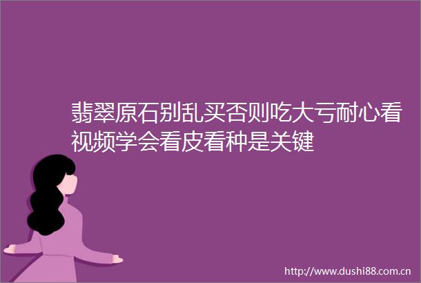 翡翠原石别乱买否则吃大亏耐心看视频学会看皮看种是关键