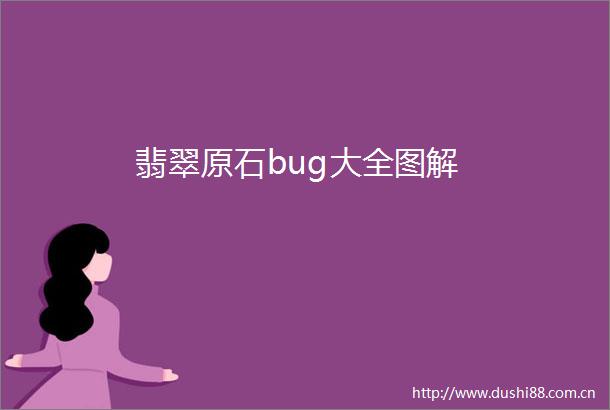 翡翠原石bug大全图解